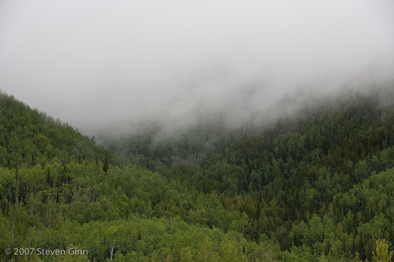 Mountain Scene