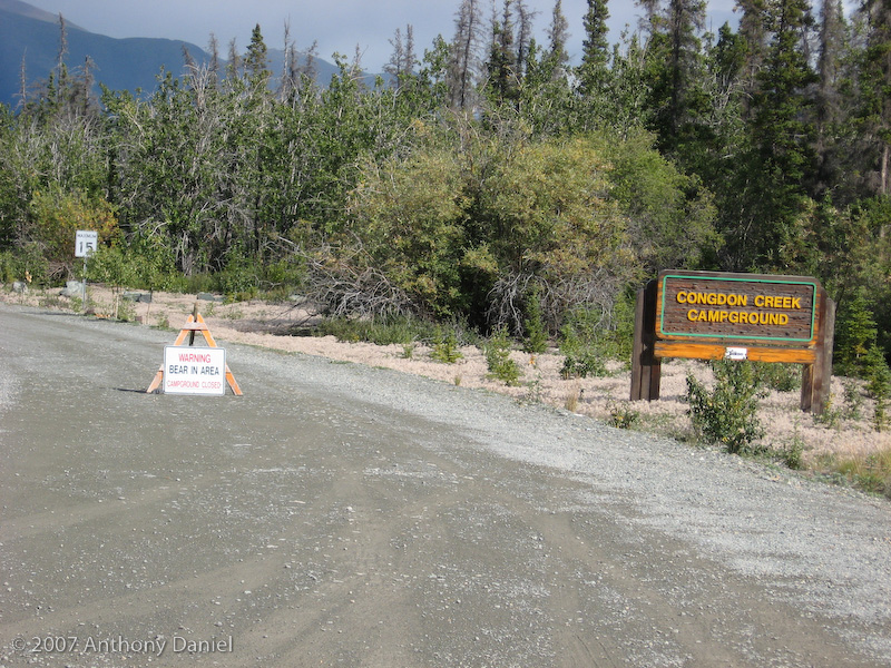 Bear Sign