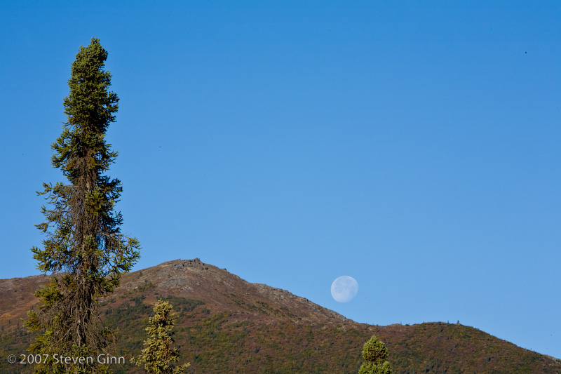 Moonrise