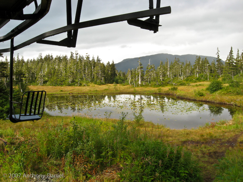 Pond