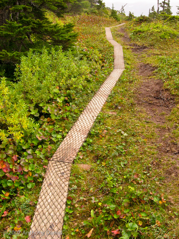 Boardwalk