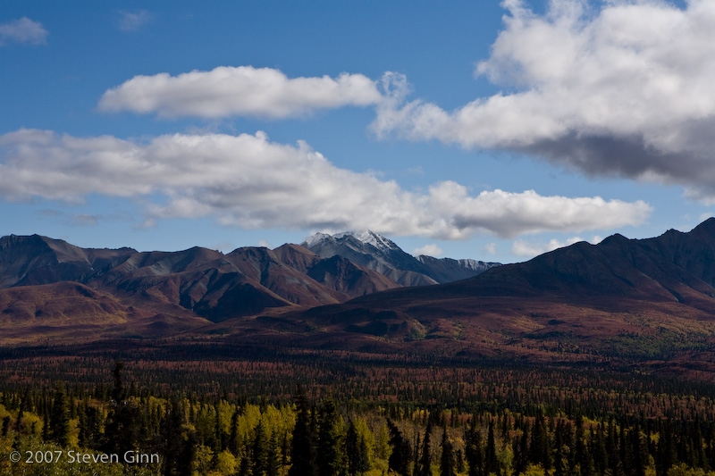 Landscape