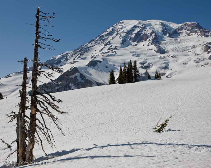 Mount Rainer