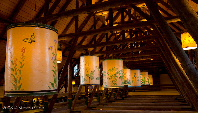 Paradise Inn Lights