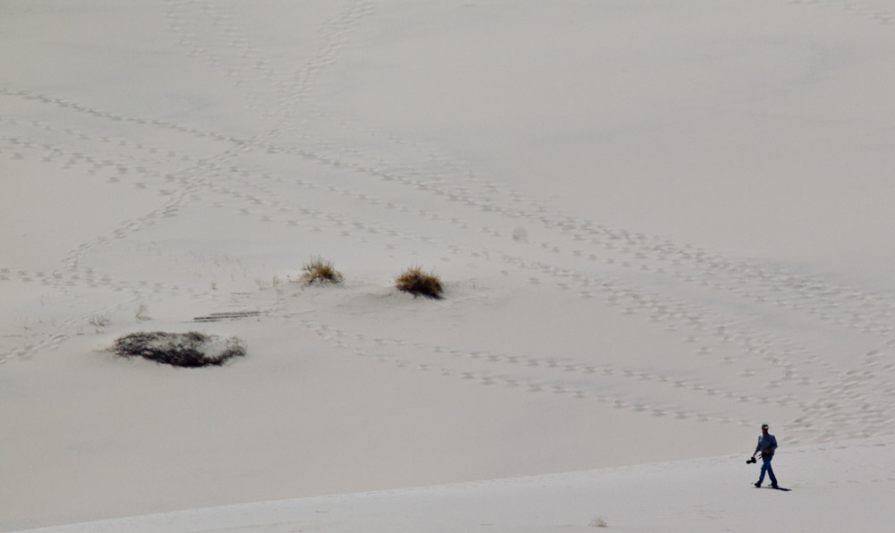 Dune Walking