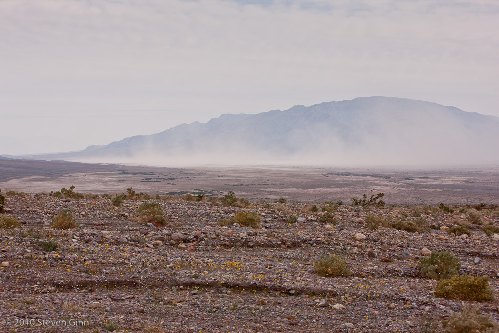 Sand Storm