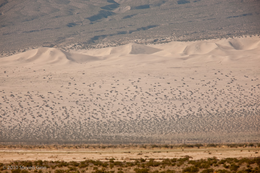 Panamint Dunes