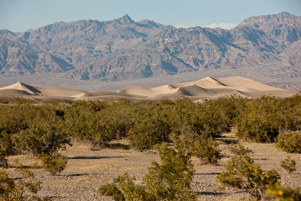 Mesquite Dunes